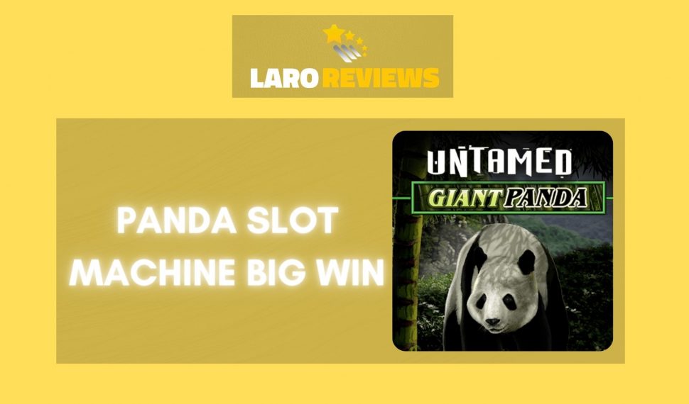 Panda Slot Machine Big Win