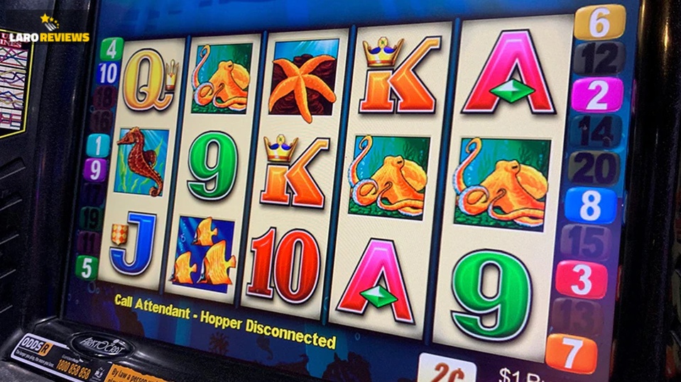 big pokie wins 2