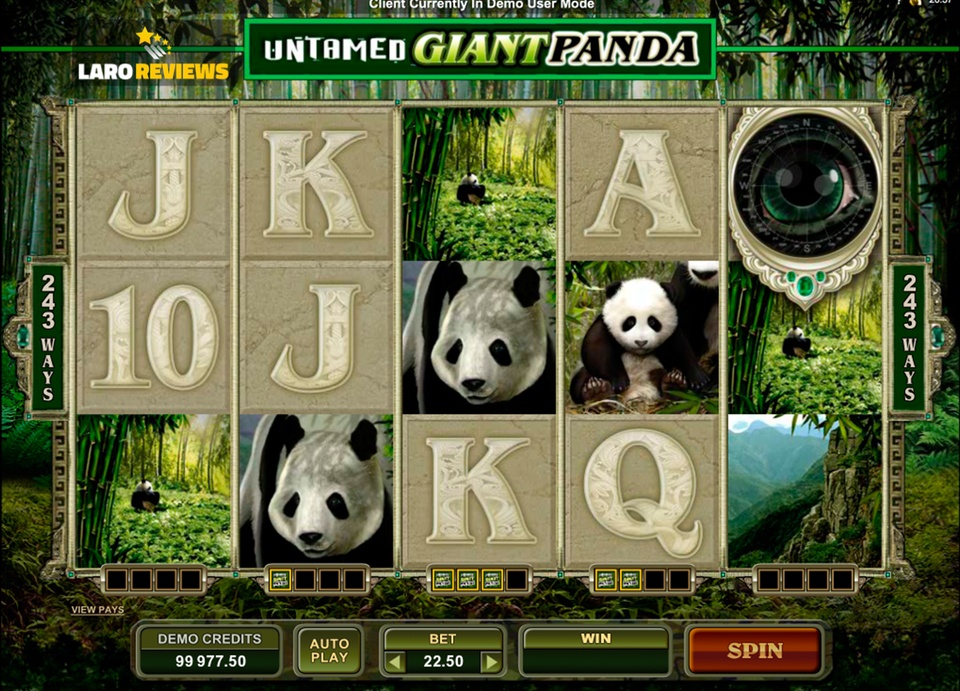 panda slot machine big win 3 1