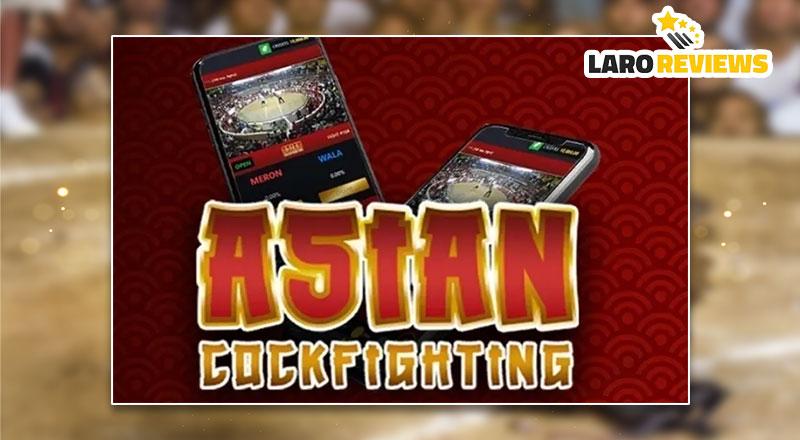 Alamin at basahin ang tungkol sa asian cockfighting